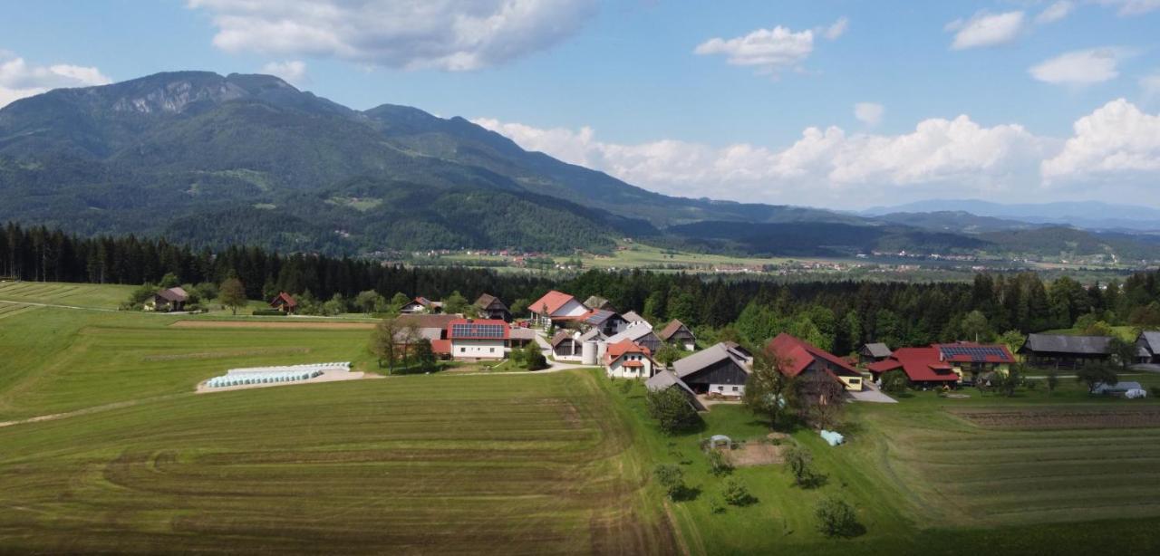 Apartment With Mountain View And Rivers Close By Smartno ob Dreti Zewnętrze zdjęcie