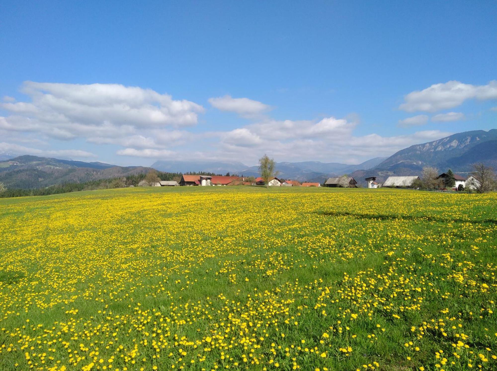 Apartment With Mountain View And Rivers Close By Smartno ob Dreti Zewnętrze zdjęcie